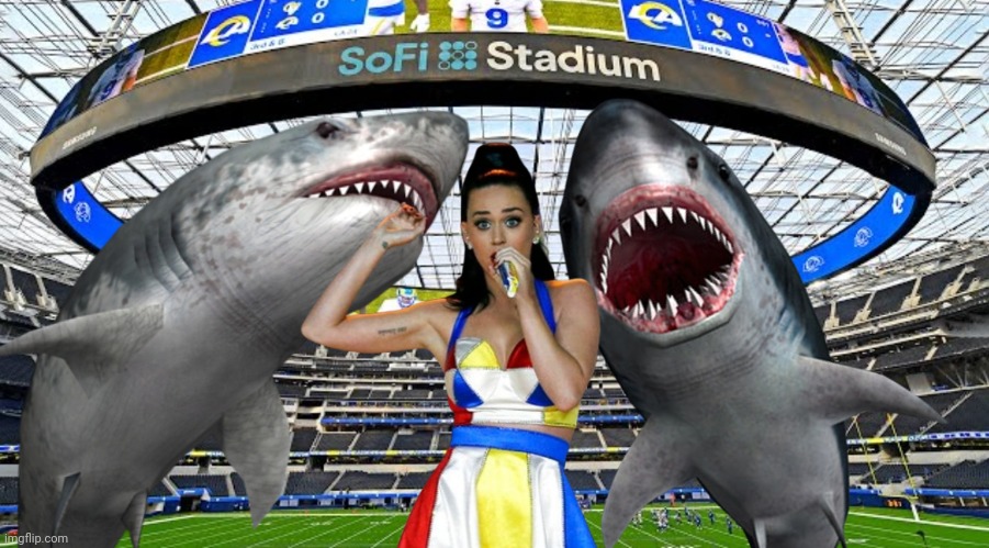 Katy Perry upstaged again | image tagged in super bowl,sharks,funny,sports,katy perry | made w/ Imgflip meme maker