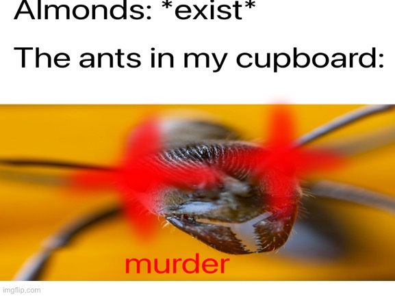 Found the almonds in my cupboard infested with ants | image tagged in almondhate,ants,cupboard | made w/ Imgflip meme maker