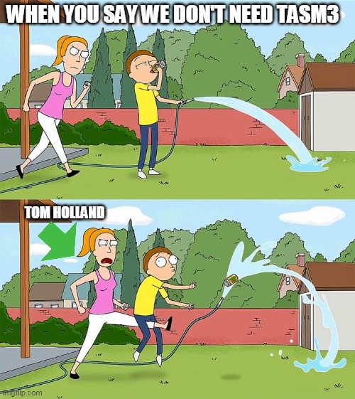 Rick and Morty Summer low blow | WHEN YOU SAY WE DON'T NEED TASM3; TOM HOLLAND | image tagged in rick and morty summer low blow | made w/ Imgflip meme maker