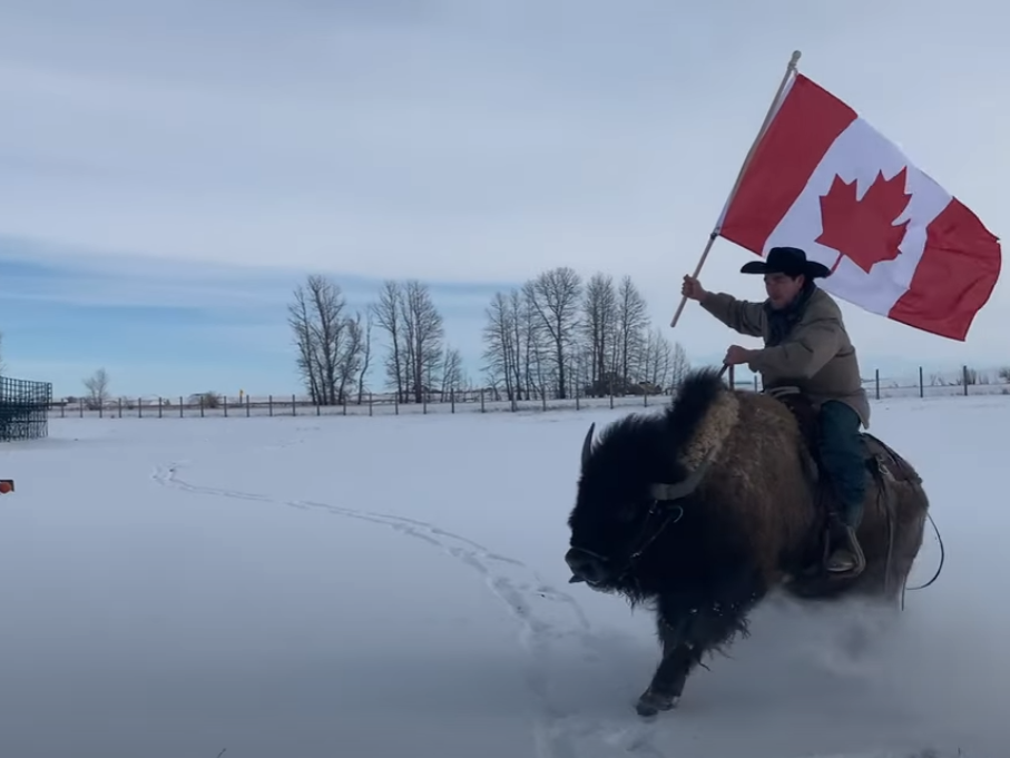 High Quality Canada Buffalo Cowboy Blank Meme Template