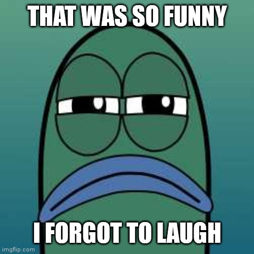 not funny | THAT WAS SO FUNNY; I FORGOT TO LAUGH | image tagged in not funny | made w/ Imgflip meme maker