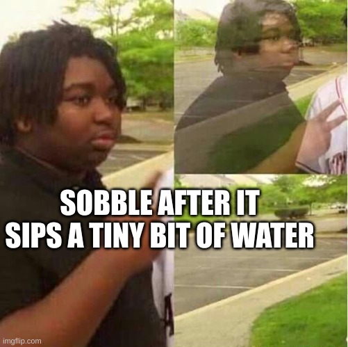 true |  SOBBLE AFTER IT SIPS A TINY BIT OF WATER | image tagged in disappearing,pokemon,sobble,pokemon gen 8,pokemon sword and shield,stop reading the tags | made w/ Imgflip meme maker
