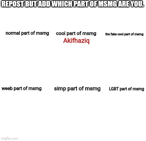 Feel free to add more stuff to this. | REPOST BUT ADD WHICH PART OF MSMG ARE YOU. Akifhaziq; cool part of msmg; normal part of msmg; the fake cool part of msmg; weeb part of msmg; simp part of msmg; LGBT part of msmg | image tagged in blank white template | made w/ Imgflip meme maker
