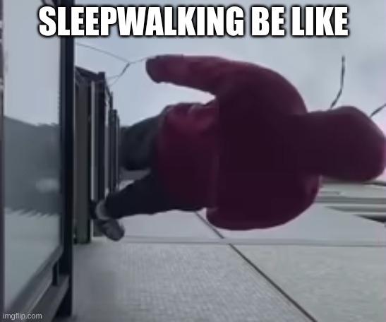 boy in red hoodie falling | SLEEPWALKING BE LIKE | image tagged in funny,so true memes | made w/ Imgflip meme maker