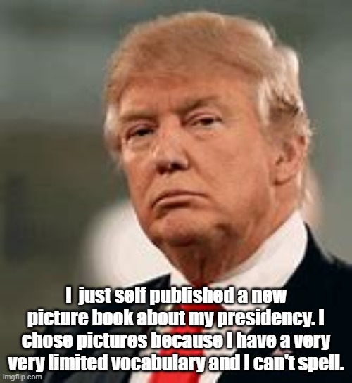 book | I  just self published a new picture book about my presidency. I chose pictures because I have a very very limited vocabulary and I can't spell. | image tagged in donald trump | made w/ Imgflip meme maker