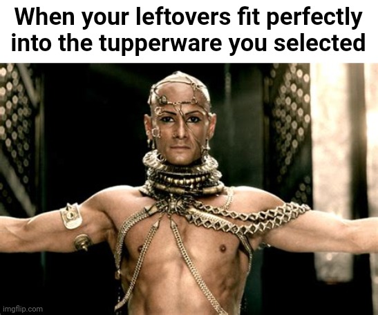 Bow to me | When your leftovers fit perfectly into the tupperware you selected | image tagged in xerxes is kind,lol so funny,funny memes | made w/ Imgflip meme maker