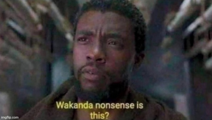 Looking at the meme above | image tagged in wakanda nonsense is this | made w/ Imgflip meme maker