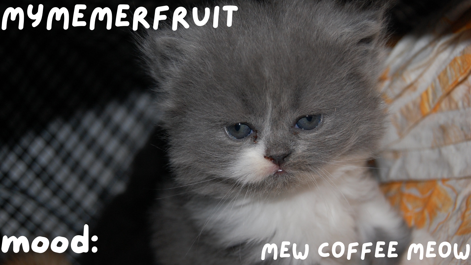 MyMemerFruit Temp 1 Blank Meme Template