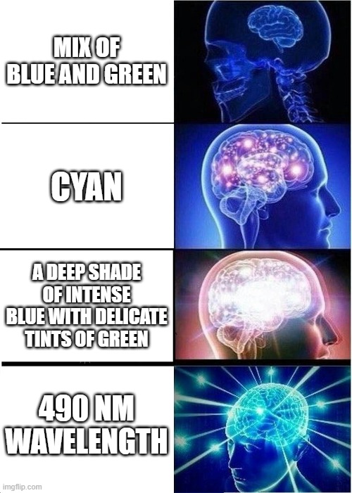 "Describe the color" | MIX OF BLUE AND GREEN; CYAN; A DEEP SHADE OF INTENSE BLUE WITH DELICATE TINTS OF GREEN; 490 NM WAVELENGTH | image tagged in memes,expanding brain | made w/ Imgflip meme maker
