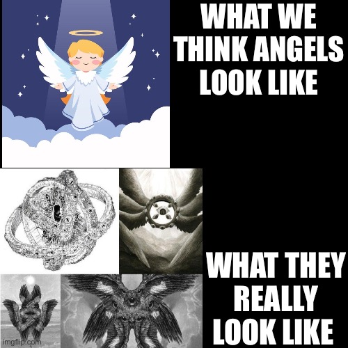 WHAT WE THINK ANGELS LOOK LIKE; WHAT THEY REALLY LOOK LIKE | image tagged in oh no | made w/ Imgflip meme maker
