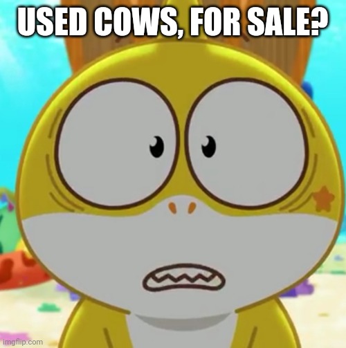 Hold on | USED COWS, FOR SALE? | image tagged in the heck was that,for sale,memes,funny | made w/ Imgflip meme maker