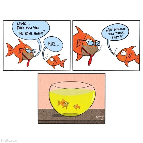 image tagged in comics,funny,memes,nemo | made w/ Imgflip meme maker