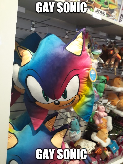 GAY SONIC; GAY SONIC | made w/ Imgflip meme maker