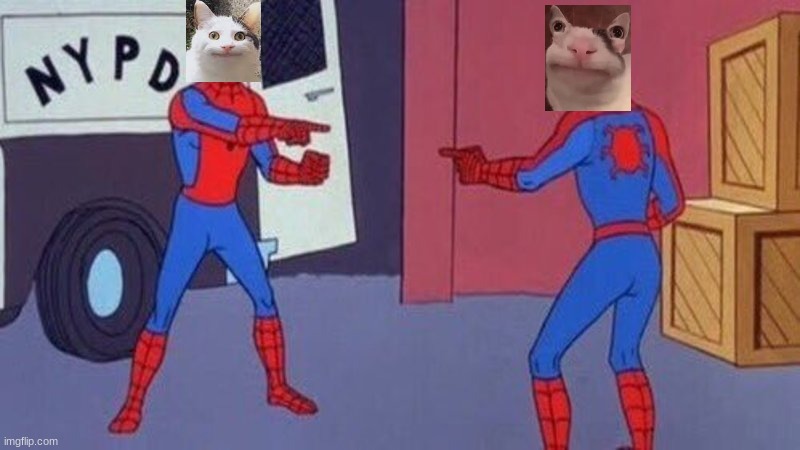 Beluga vs Begula | image tagged in spiderman pointing at spiderman | made w/ Imgflip meme maker