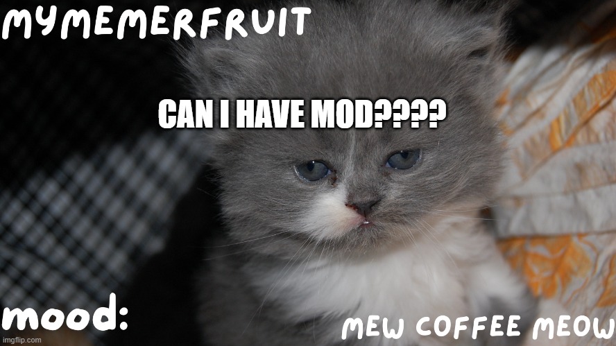 MyMemerFruit Temp 1 | CAN I HAVE MOD???? | image tagged in mymemerfruit temp 1 | made w/ Imgflip meme maker