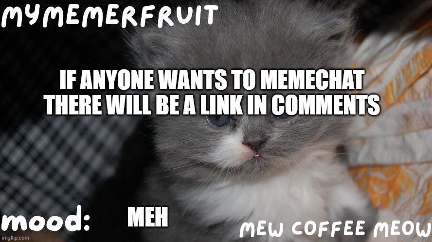 MyMemerFruit Temp 1 | IF ANYONE WANTS TO MEMECHAT THERE WILL BE A LINK IN COMMENTS; MEH | image tagged in mymemerfruit temp 1 | made w/ Imgflip meme maker