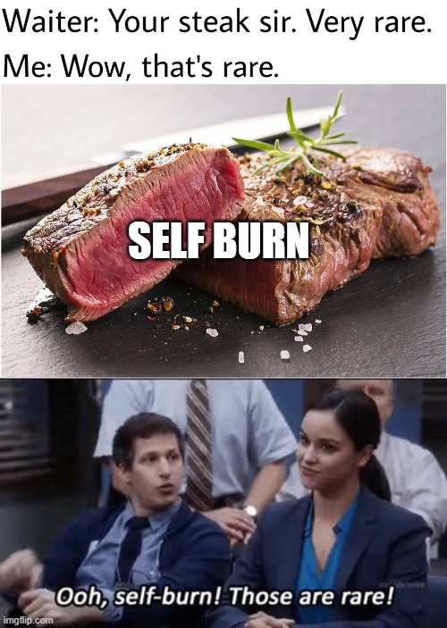 I've been thinking about this meme fr way too long | SELF BURN | image tagged in rare steak meme,ooh self-burn those are rare | made w/ Imgflip meme maker
