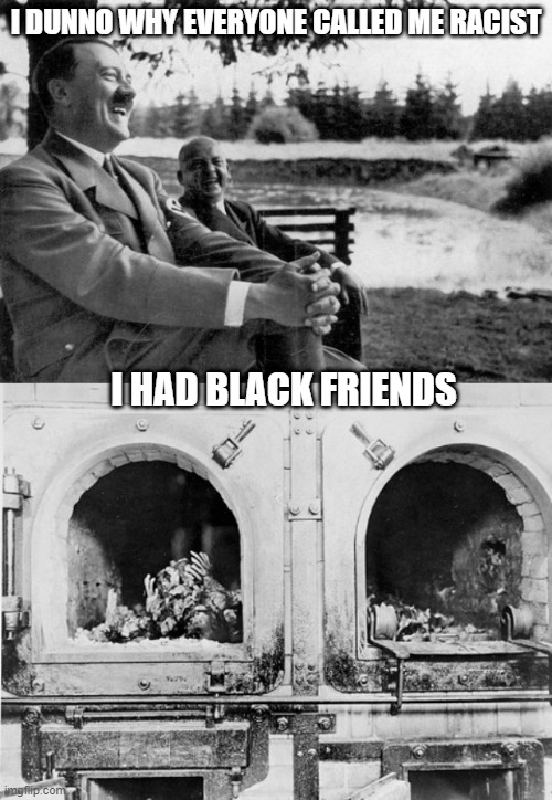Damn You Adolph | I DUNNO WHY EVERYONE CALLED ME RACIST; I HAD BLACK FRIENDS | image tagged in adolf hitler laughing | made w/ Imgflip meme maker
