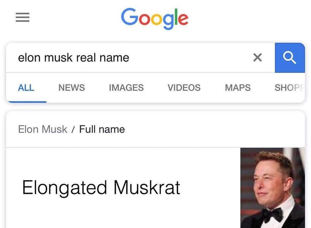 Elon musk real name Blank Meme Template