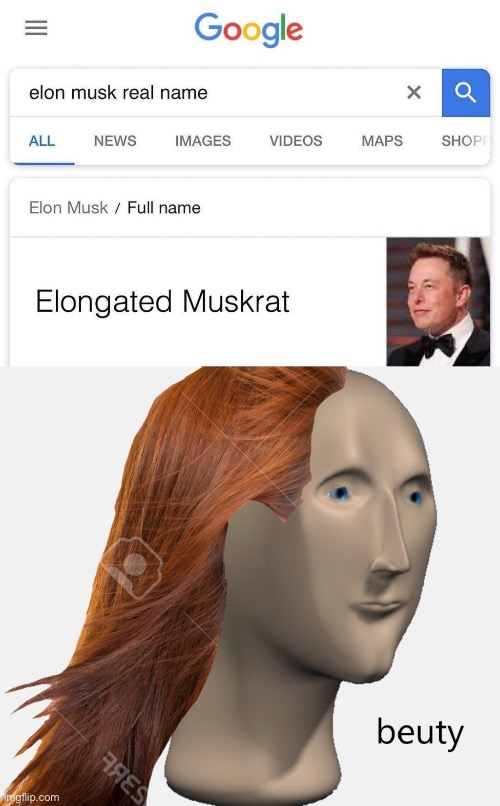 when you have a big brain moment on google | image tagged in elon musk real name,beuty,elongated muskrat | made w/ Imgflip meme maker