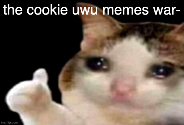 who was part of it- | the cookie uwu memes war- | image tagged in sad cat thumbs up | made w/ Imgflip meme maker