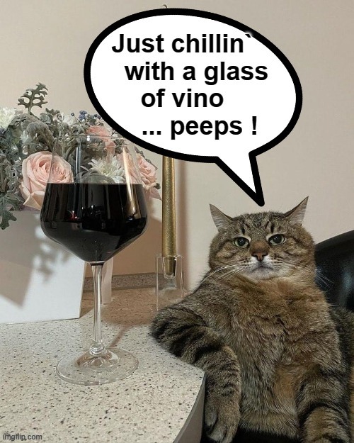 Hey peeps ! | image tagged in i just want friends who love cats drink copious amounts of wine | made w/ Imgflip meme maker