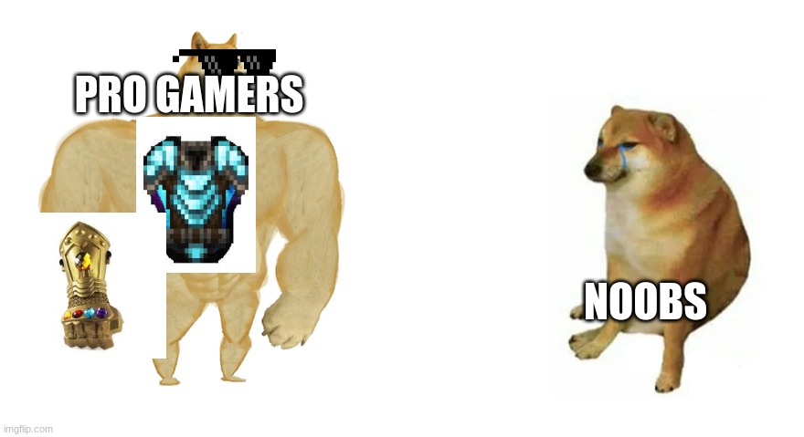 Buff Doge vs Crying Cheems | PRO GAMERS; NOOBS | image tagged in buff doge vs crying cheems | made w/ Imgflip meme maker