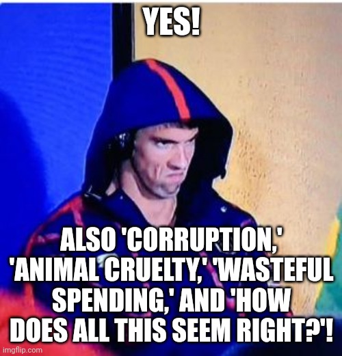 Michael Phelps Death Stare Meme | YES! ALSO 'CORRUPTION,' 'ANIMAL CRUELTY,' 'WASTEFUL SPENDING,' AND 'HOW DOES ALL THIS SEEM RIGHT?'! | image tagged in memes,michael phelps death stare | made w/ Imgflip meme maker