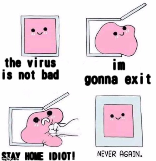 2020 be like | the virus is not bad; im gonna exit; STAY HOME IDIOT! | image tagged in never again | made w/ Imgflip meme maker