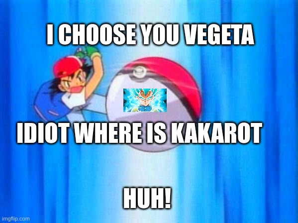 dragon ball pokemon | I CHOOSE YOU VEGETA; IDIOT WHERE IS KAKAROT; HUH! | image tagged in i choose you | made w/ Imgflip meme maker