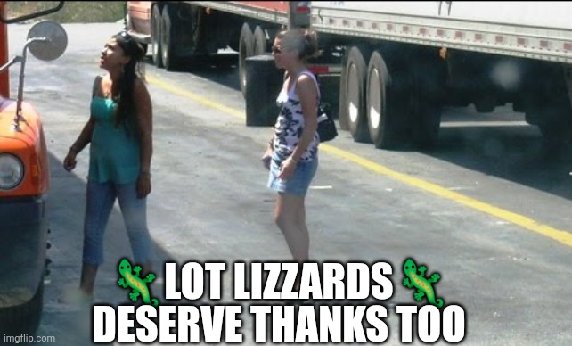 Lot lizzard | 🦎LOT LIZZARDS🦎; DESERVE THANKS TOO | image tagged in trucker,meanwhile in canada,lot lizzard,thanks,protesters,border | made w/ Imgflip meme maker