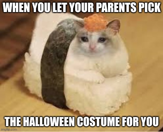 when you let your parents pick the halloween costume | WHEN YOU LET YOUR PARENTS PICK; THE HALLOWEEN COSTUME FOR YOU | image tagged in cats | made w/ Imgflip meme maker