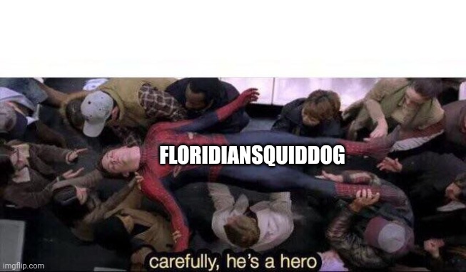 Carefully he's a hero | FLORIDIANSQUIDDOG | image tagged in carefully he's a hero | made w/ Imgflip meme maker