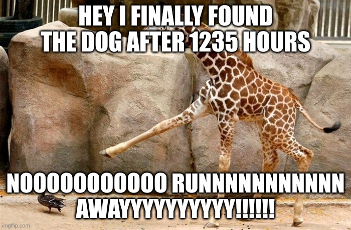 i found the dog | HEY I FINALLY FOUND THE DOG AFTER 1235 HOURS; NOOOOOOOOOOO RUNNNNNNNNNNN AWAYYYYYYYYYY!!!!!! | image tagged in giraffe pointing at a duck | made w/ Imgflip meme maker