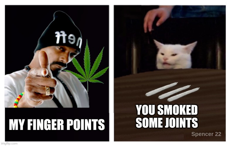  YOU SMOKED SOME JOINTS; MY FINGER POINTS | image tagged in smudge the cat,snoop dogg,cannabis,smoking weed,no no he's got a point,joint | made w/ Imgflip meme maker