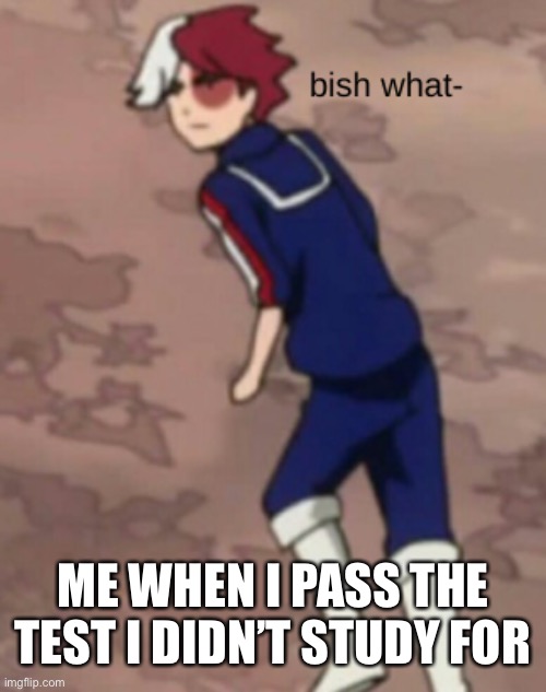 Doesn’t happen often enough | ME WHEN I PASS THE TEST I DIDN’T STUDY FOR | image tagged in todoroki bish what face | made w/ Imgflip meme maker