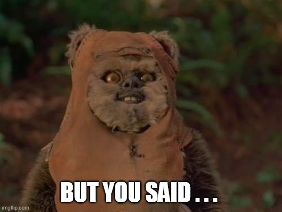 Mischievous Ewok | BUT YOU SAID . . . | image tagged in mischievous ewok | made w/ Imgflip meme maker