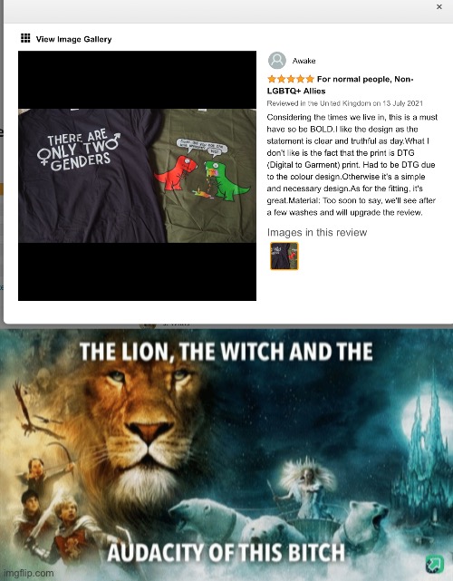 Bitch | image tagged in the lion the witch and the audacity of this bitch | made w/ Imgflip meme maker