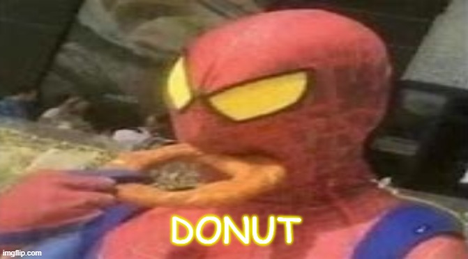 Donut | DONUT | image tagged in donut,spiderman,meme | made w/ Imgflip meme maker