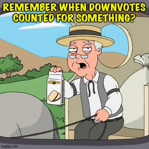 Downvotes should be counted | REMEMBER WHEN DOWNVOTES COUNTED FOR SOMETHING? | image tagged in memes,pepperidge farm remembers | made w/ Imgflip meme maker