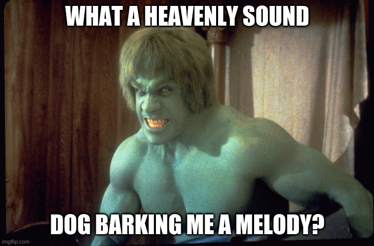 The Incredible Hulk  | WHAT A HEAVENLY SOUND; DOG BARKING ME A MELODY? | image tagged in the incredible hulk | made w/ Imgflip meme maker