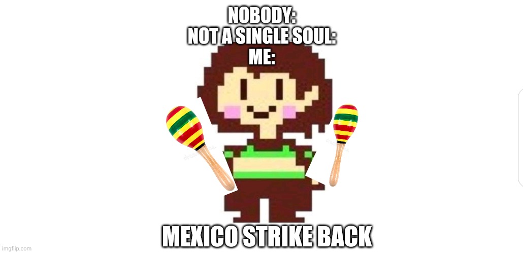 *Mexico Strike Back intensifies*c | NOBODY:
NOT A SINGLE SOUL:
ME:; MEXICO STRIKE BACK | image tagged in white screen,mexico,undertale chara | made w/ Imgflip meme maker