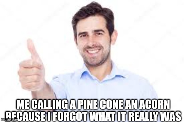 So relatable | ME CALLING A PINE CONE AN ACORN BECAUSE I FORGOT WHAT IT REALLY WAS | image tagged in relatable | made w/ Imgflip meme maker