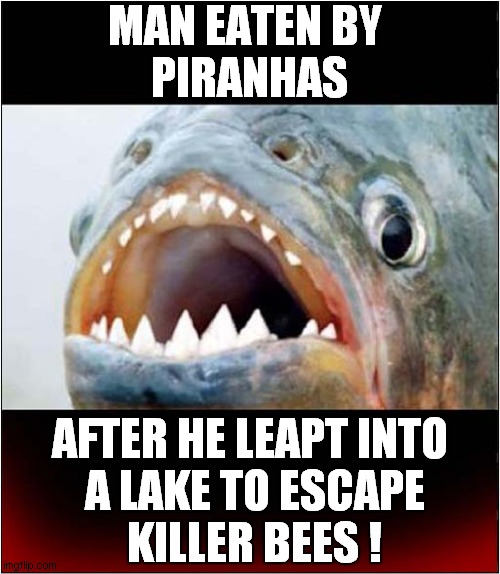 And You Thought You Were Having A Bad Day ! | MAN EATEN BY
 PIRANHAS; AFTER HE LEAPT INTO
 A LAKE TO ESCAPE
 KILLER BEES ! | image tagged in bad day,piranhas,killer bees,dark humour | made w/ Imgflip meme maker