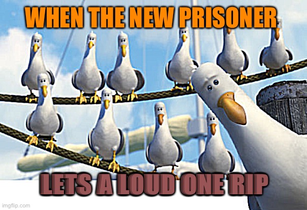 New Prisoner | WHEN THE NEW PRISONER; LETS A LOUD ONE RIP | image tagged in mine seagulls,prison,jail,rip,fart,farting | made w/ Imgflip meme maker