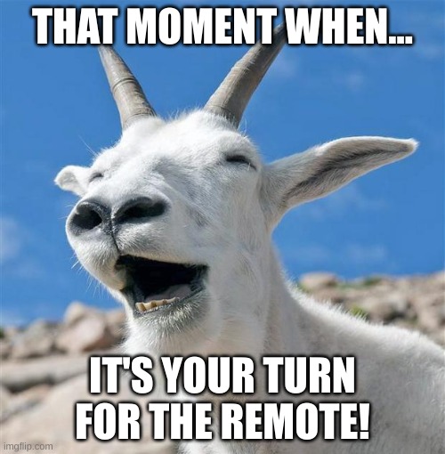 Laughing Goat | THAT MOMENT WHEN... IT'S YOUR TURN FOR THE REMOTE! | image tagged in memes,laughing goat | made w/ Imgflip meme maker