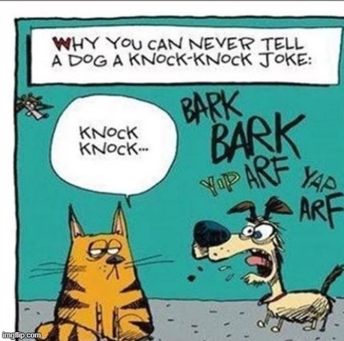 knock-knock | image tagged in knock-knock,dogs an cats | made w/ Imgflip meme maker
