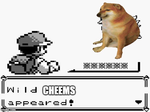 pokemon appears | CHEEMS | image tagged in pokemon appears | made w/ Imgflip meme maker