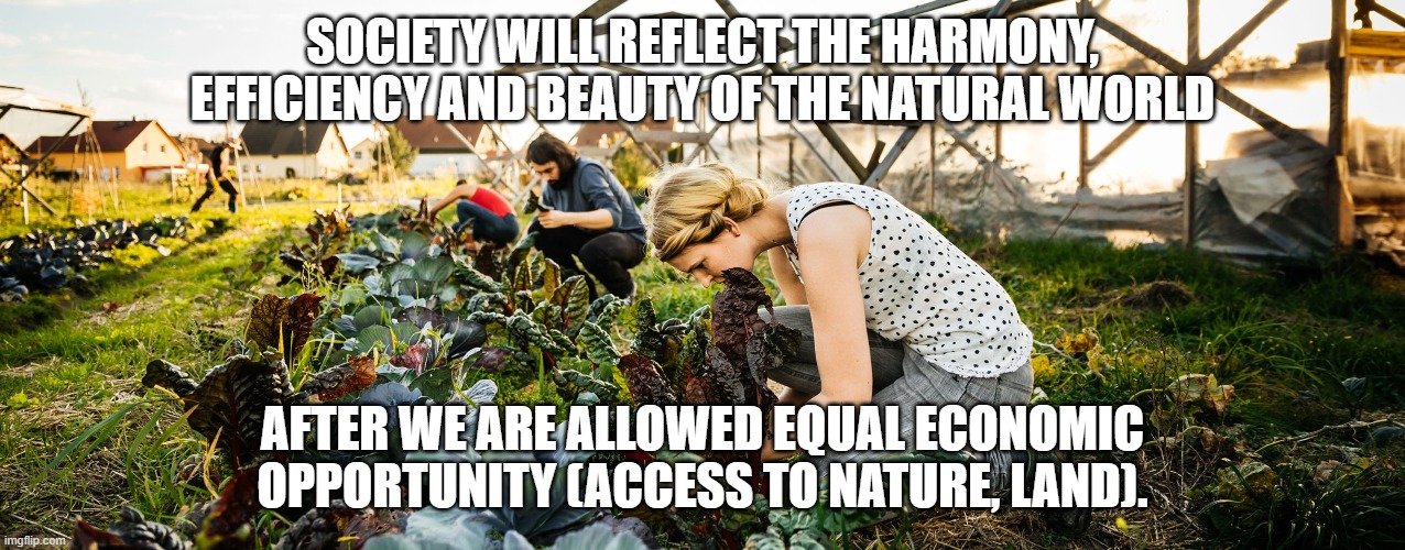 Ecology = Economy | SOCIETY WILL REFLECT THE HARMONY, EFFICIENCY AND BEAUTY OF THE NATURAL WORLD; AFTER WE ARE ALLOWED EQUAL ECONOMIC OPPORTUNITY (ACCESS TO NATURE, LAND). | image tagged in economics,nature,mother nature,beautiful nature,politics,taxes | made w/ Imgflip meme maker