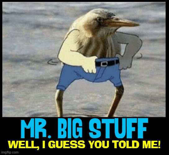 When someone ruffles your feathers |  MR. BIG STUFF; WELL, I GUESS YOU TOLD ME! | image tagged in vince vance,mister,big,stuff,birds,memes | made w/ Imgflip meme maker
